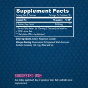 L-Proline 500mg / 100caps