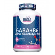 GABA + B-6 / 500mg. / 100 Vcaps