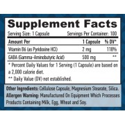 GABA + B-6 / 500mg. / 100 Vcaps